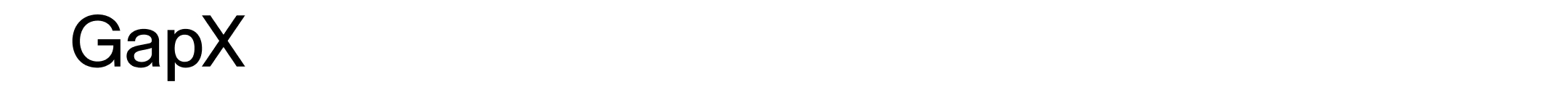 GapX