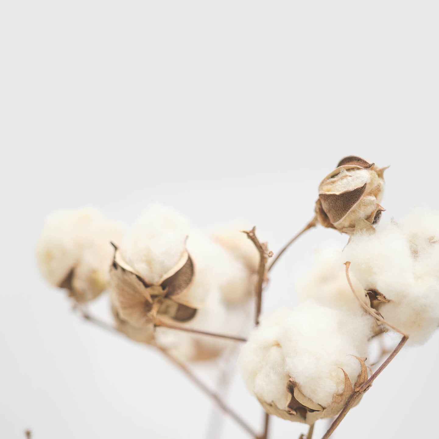 GAP_Sustainability_Img3