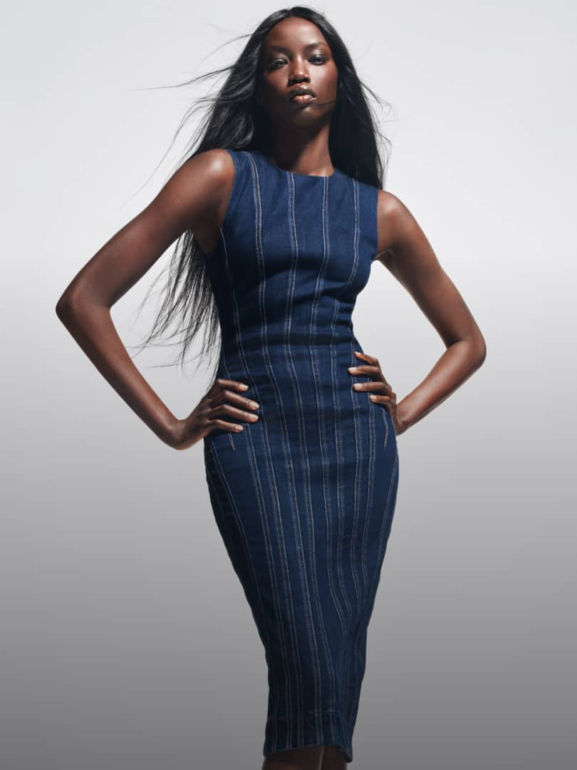 GapStudio Blue Denim Dress